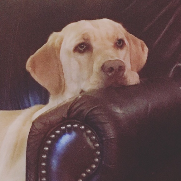 Meet your Posher, Mario - Picture 1 of 1